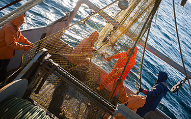 A group of Japanese fisherman on board a boat at sea.