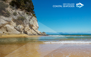 The coastline of New Zealand Coastal Seafoods.