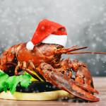 A cooked lobster wearing a Santa hat.