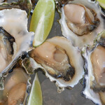 Raw oysters on the half shell with lime