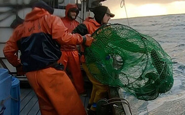 The crew of the F/V Devotion handles a lightweight CodCoil pot filled with live black cod.