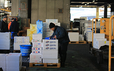 A worker in Japan reviewing seafood export packages.