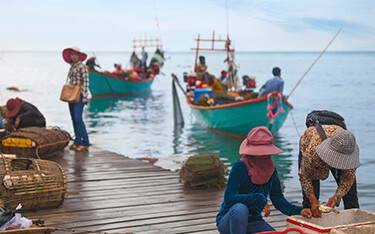 Cambodian fishing