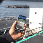 An example of a worker using the Umitron CELL AI-based fish feeding system.