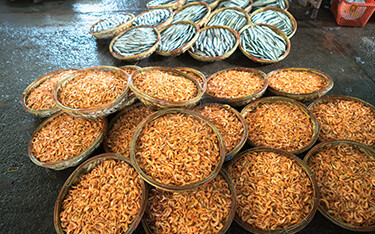 Vietnam shrimp baskets