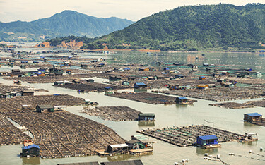 Aquaculture operations in Fujian, China.