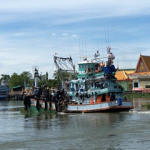 MarinTrust launching new program