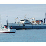 Fishing vessels in Japan.