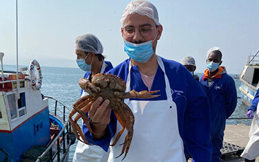 Amir Ben Ameur, director of Carthage Crabs