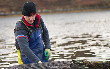 Achill Island Oysters Owner Hugh O'Malley