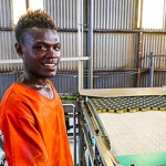 Facility worker at Bina Hrobour Tuna Processing