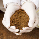 Full Circle Biotechnnology feed.