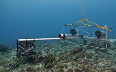 A baited remote underwater video system.