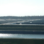 Guolian shrimp farms.
