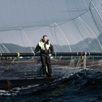 Grieg Seafood CEO Andreas Kvame at one of his company's salmon farms.