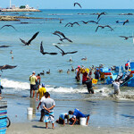 Fishermen unload their catch in Ecuador.