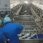 Denholm Seafoods' current processing plant in Peterhead, U.K.