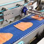A Marel salmon slicing machine.