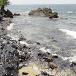 A scene from a 2006 oil spill in the Philippines.