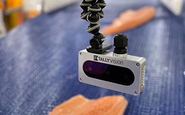 Tally vision camera technology