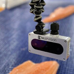 Tally vision camera technology