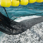 A Norwegian fishing vessel pulling in a catch of pelagic fish.