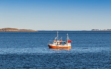 Fishing boat in the ocean