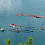 Trout production facilities in Turkey.
