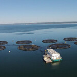 A Cooke Aquaculture operation in Nova Scotia, Canada.