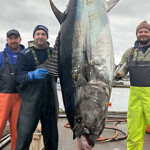 One Tuna fishermen pose with a large Atlantic bluefin tuna they landed.