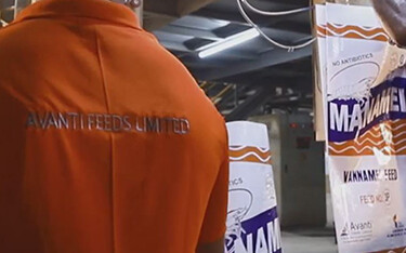 An Avanti Feeds mill.