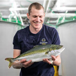 A Kingfish employee holds one of the yellowtail produced in its facility.