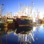Boats lined up on the dock of the New Bedford Port Authority