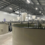The interior of the American Unagi eel aquaculture facility.