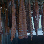 Chum salmon hang in a smokehouse.