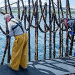 Two workers in Ireland tending to a mussel aquaculture operation.