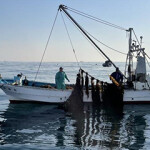 ASC boat on water