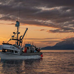 F/V Sounder gillnetting in Lynn Canal, Southeast Alaska.