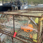 A trial Pacific cod pot.