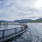 AKVA Group aquaculture equipment in the water.