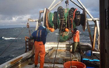 A cod fisher in the Gulf of Maine.