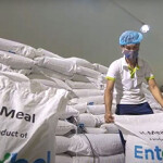 Bags of Entobel's H-Meal feed.