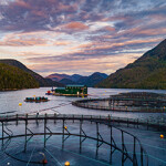 A Grieg Seafood salmon farm.
