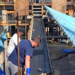 Scientists survey the clam catch aboard the ESS Pursuit during the 2022 clam survey.