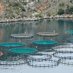 A fish farm in Greece.
