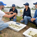 An XpertSea demonstration.