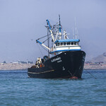 An anchovy fishing boat in Peru.