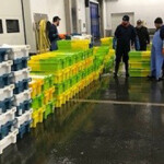 Authorities inspection fish landed in Ireland and transported to Belgium.