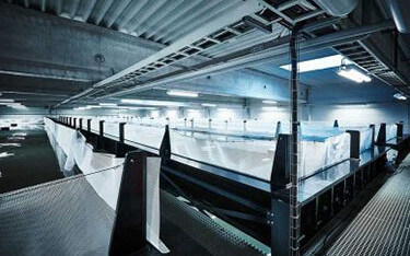 A CGI model of Oceanloop's proposed shrimp RAS farm.