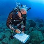 A diver in Revillagigedo National Park.